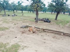 -西安秦岭野生动物园