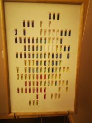 -彩虹之门健康管理