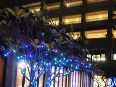 -海陵岛保利皇冠假日酒店·御公馆中餐厅 CANAL LNUA