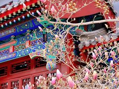 -天津大悲禅院