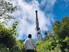 -武陵山森林公园