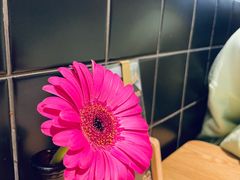-The Diner X餐厅(青岛万象城店)