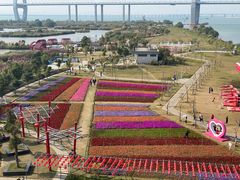-芒洲湿地公园