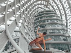 -凤凰中心