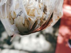 -金盆阿嬷香菇茶叶蛋(玄光店)