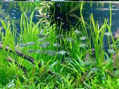 -上海海洋水族馆