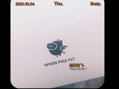 -WHEN PIGS FLY当猪飞