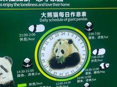 -海南热带野生动植物园