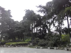 -郑和公园