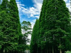 -宜兴龙背山森林公园