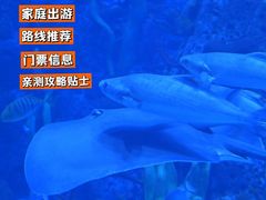 -石家庄极地海洋世界