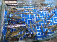 -东沙小镇主题餐厅(下沙店)