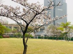 -新虹桥中心花园