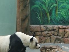 -青藏高原野生动物园