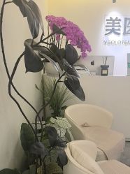 -海涛医疗美容·面部抗衰·注射美鼻