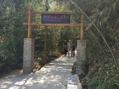 -杨家寨