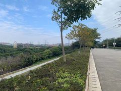 -水濂山森林公园