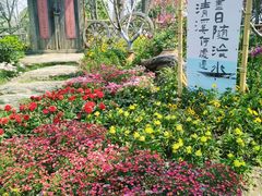 -圩墩遗址公园