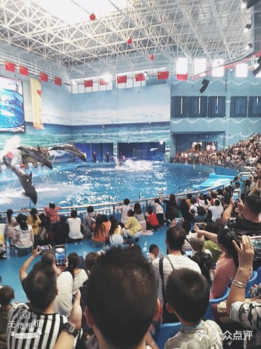 多彩贵州城极地海洋世界图片