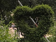 -和平公园