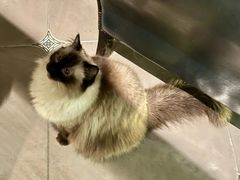 -Estaeslavida分享茄雪茄吧(亿彩购物中心店)