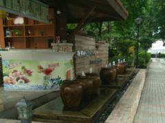 -棕南海水疗会所