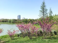 -尚贤河湿地