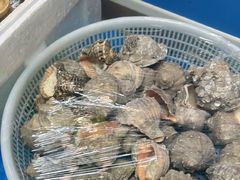 -喝丢一只鞋海鲜烧烤·海肠捞饭(市场店)