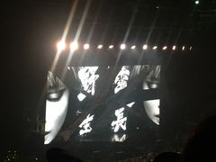 -南京奥林匹克体育中心-体育馆