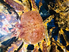 -海景壹号大酒店(滨湖店)