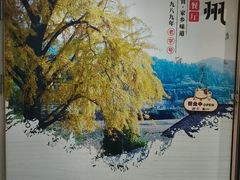 -南雄雄州土菜餐厅(粤北大厦店)