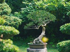 -水绘园