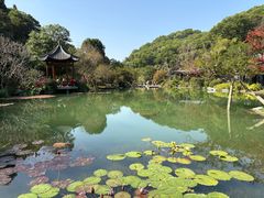 -云溪植物园