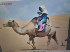 -银肯塔拉沙漠生态旅游景区