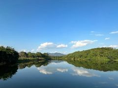 -福建鲤鱼洲酒店