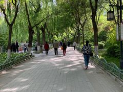 -文瀛公园