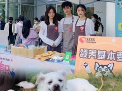 -欢乐海岸椰林沙滩-2025湾区超级灯会