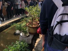-茯茶镇