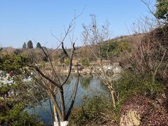 -白马涧龙池景区