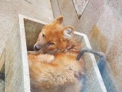 -西安秦岭野生动物园