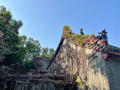 -深圳国际园林花卉博览园