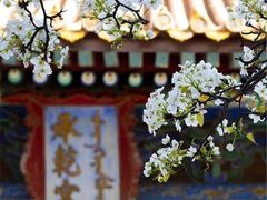 -故宫博物院(故宫)
