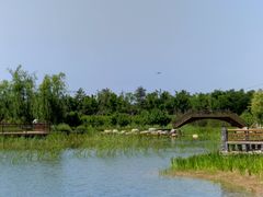 -张家湾公园