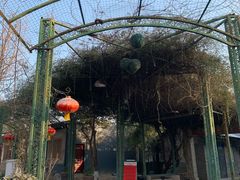 -老磨油饼(高陵店)