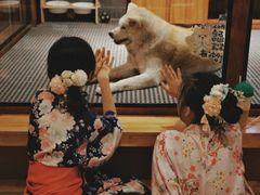 -大江户·温泉洗浴(浑南店)