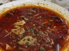 -培万河间驴火•驴肉火锅(东平店)