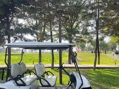 -汉长安城未央宫国家考古遗址公园