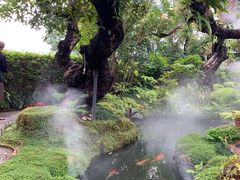 -Chom Cafe and Restaurant