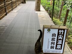 -天目湖御水温泉·度假酒店