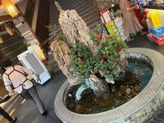 -都江堰石锅鱼